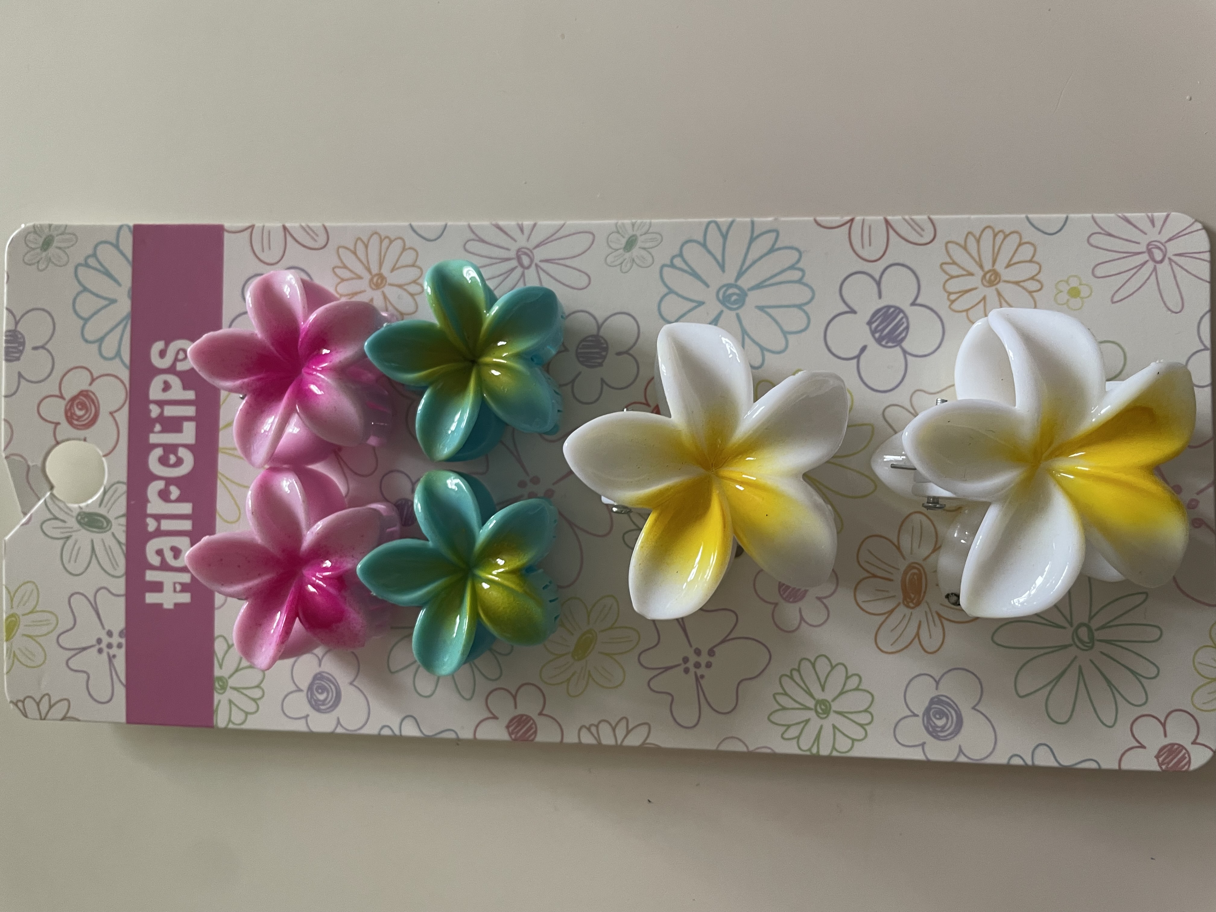 Skřipec do vlasů sada 6 ks