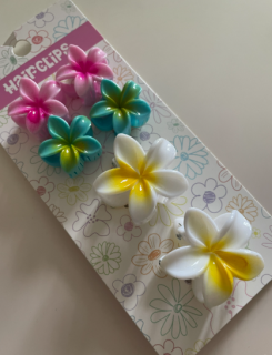 Skřipec do vlasů sada 6 ks