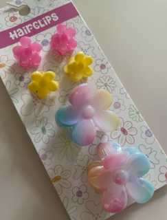 Skřipec do vlasů sada 6 ks