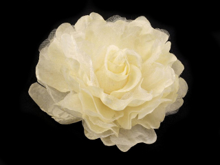 Brož/spona do vlasů růže krémová